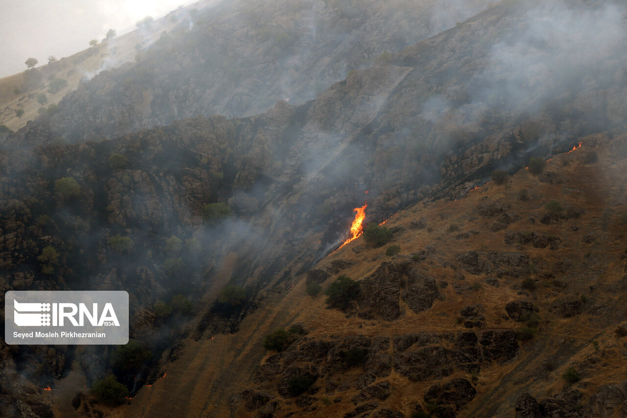 خاکستر شدن عرصههای بوشهر در آتش نداشتهها  خاکستر شدن عرصههای بوشهر در آتش نداشتهها