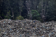 زنگ خطر تلنبار زباله در عرصه‌های جنگلی کلاردشت   