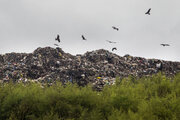 تولید زباله در شهر سمنان افزایش یافت 