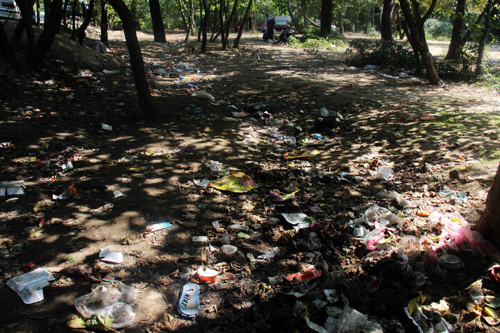 زبالههای رها شده، مانع اصلی رونق گردشگری در جنگلهای هیرکانی