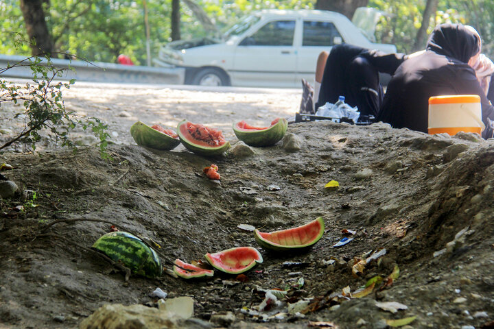 زبالهها را در طبیعت جا نگذاریم/ خودداری از غذا دادن به حیوانات