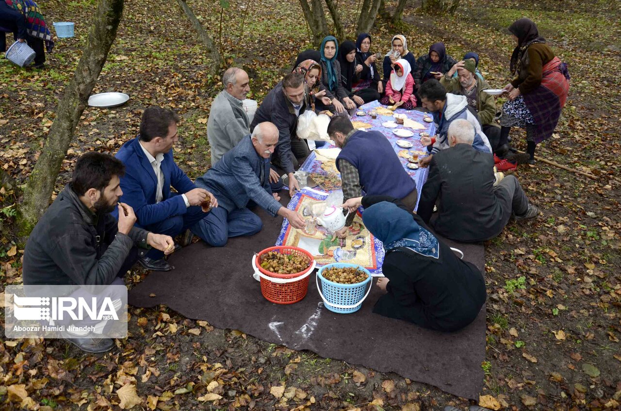 سیاستهای کلی جمعیت در ایران؛ چالشها و راهکارها