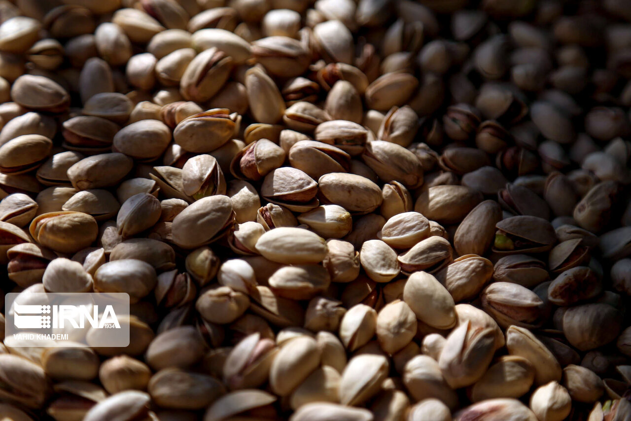 افزایش ۸ هزار تنی صادرات پسته در نیمه نخست سالجاری افزایش ۸ هزار تنی صادرات پسته در نیمه نخست سالجاری