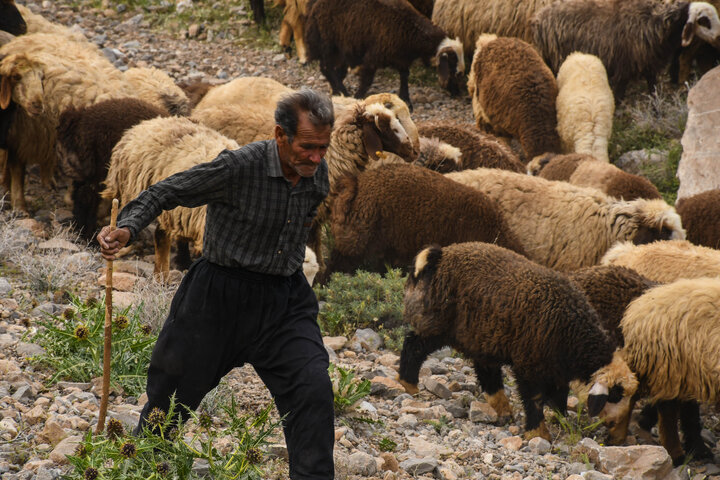 گردشگری، بستری جدید برای درآمدزایی در روستاهای تهران