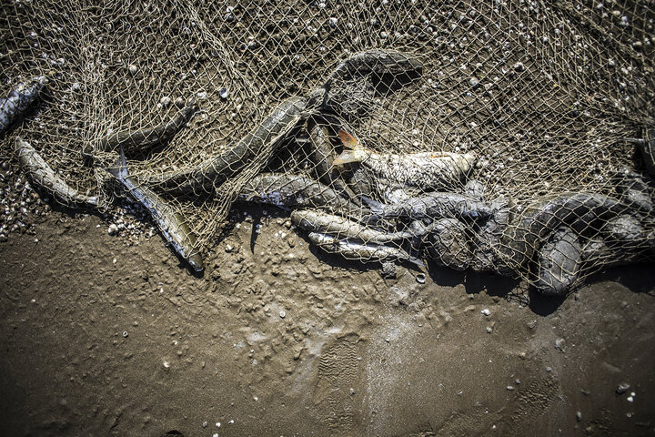 بایگانی مشکلات یک دههای صیادان شمالی در کشوی مدیران