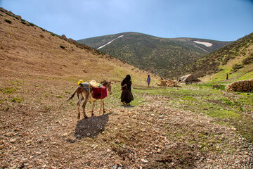 سالنامه آریایی ایل سنگسر ثبت ملی شد