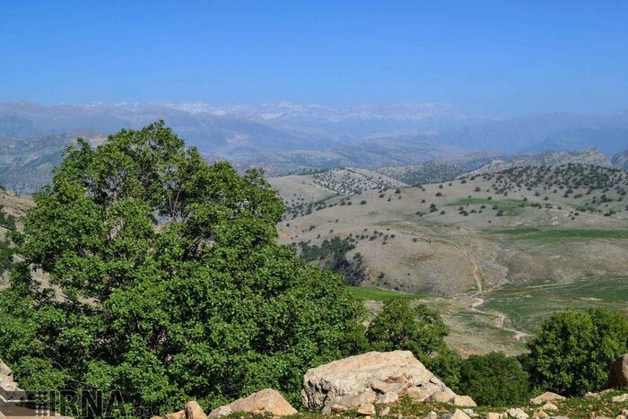 واکاوی یک مصوبه شورای عالی اداری توسط دغدغه مندان منابع طبیعی کشور