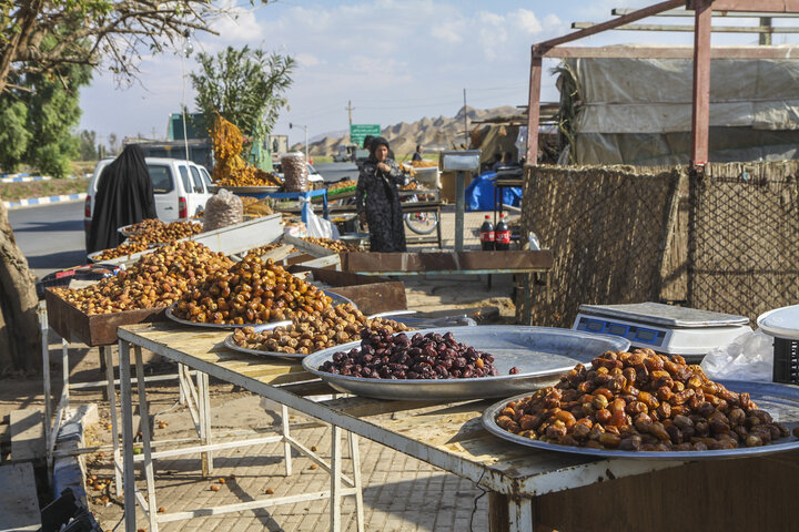 بازار خرما؛ حکایت اشباع انبارها و سوءاستفاده دلالان از تقاضای ماه رمضان