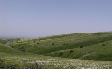 شناسایی ۷۰۰ شرکت دانش‌بنیان در بخش منابع طبیعی/ اجرای ۱۷ پروژه فناورانه