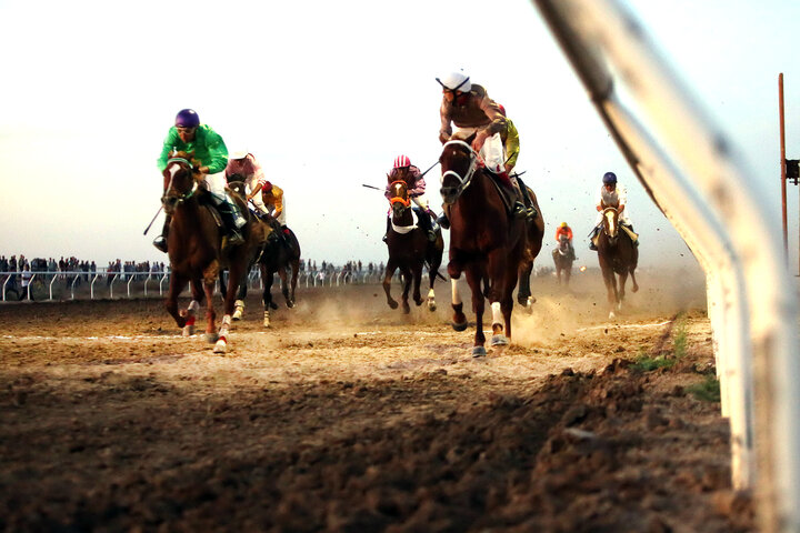 فدراسیون سوارکاری زیر ذرهبین/ خلیلی: از تحقیق و تفحص مجلس استقبال میکنیم