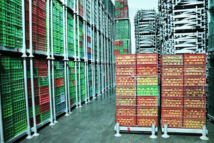 افزایش سهم صنایع تبدیلی کشاورزی از اقتصاد ایران در سالی که گذشت