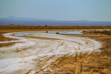 بازگشت حیات به تالاب بین‌المللی گاوخونی