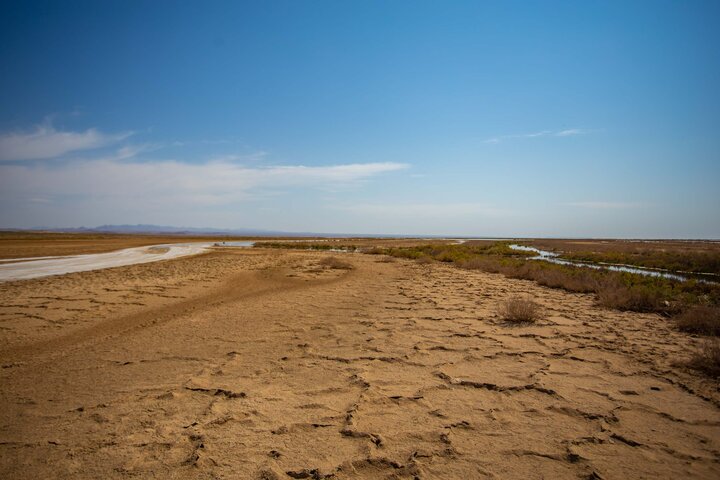توسعه دریامحور الزامی برای پیشرفت کشور/آغاز طرح جامع احیای تالاب میانکاله و خلیج گرگان