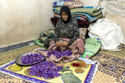 صندوق کار آفرینی امید به ۶ هزار زن روستایی در کرمانشاه تسهیلات پرداخت کرده است