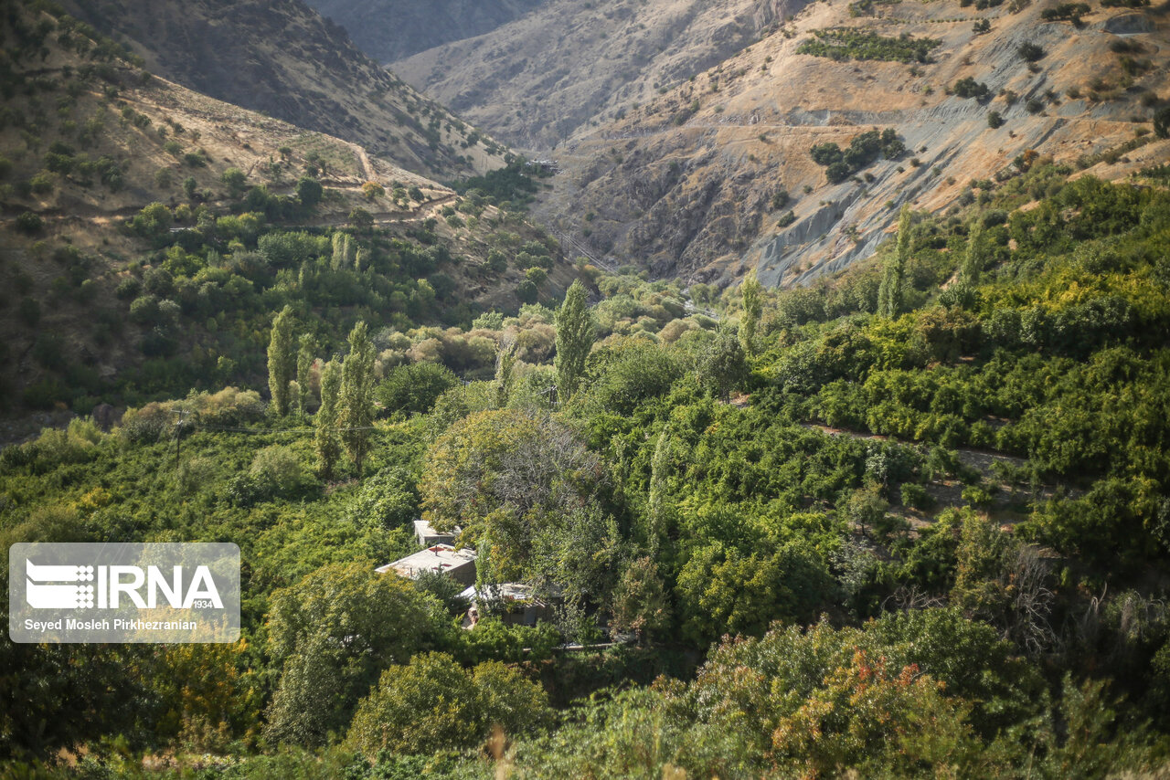 سطح باغات شهرستان اردل ۲۴ هکتار افزایش یافت