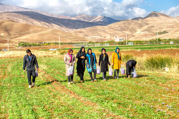 بانوان روستایی خراسان شمالی به بیمه اجتماعی روی خوش نشان دادند 