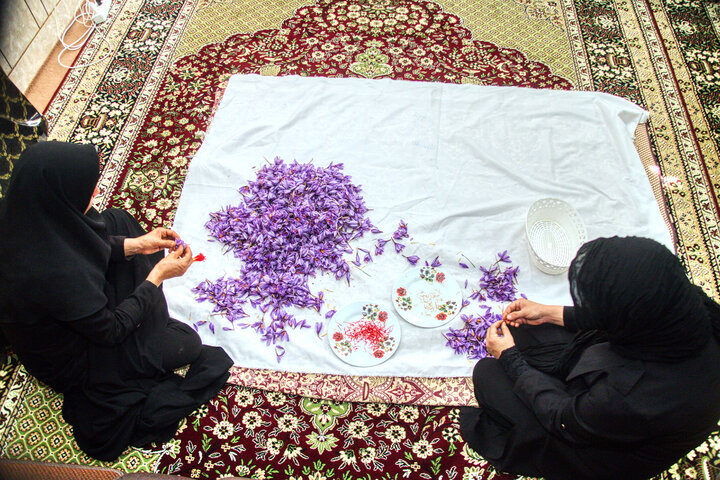 نقش بانوان کارآفرین چهارمحال و بختیاری برای رونق توسعه اقتصاد