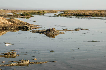 غروب پاییزی تالاب گاوخونی