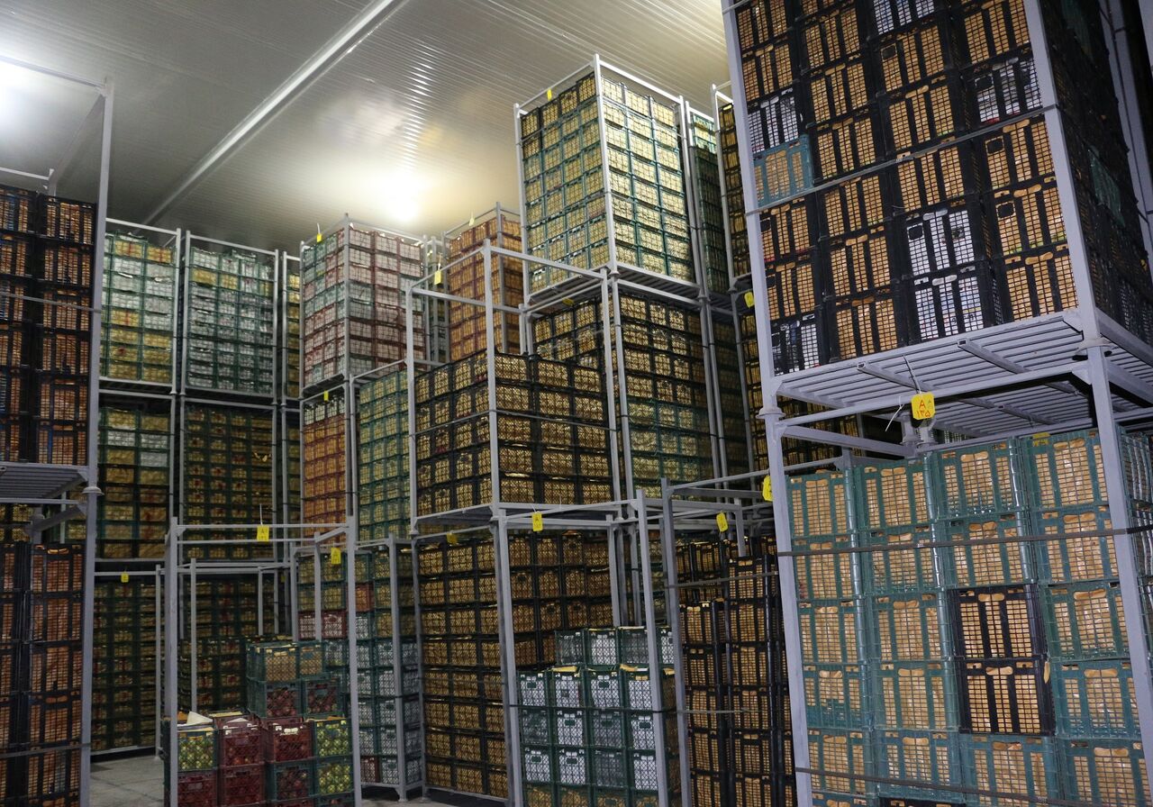 کرمانشاه نیازمند ۹۰۰ هزار تُن ظرفیت سردخانهای برای محصولات تولیدی است کرمانشاه نیازمند ۹۰۰ هزار تُن ظرفیت سردخانهای برای محصولات تولیدی است