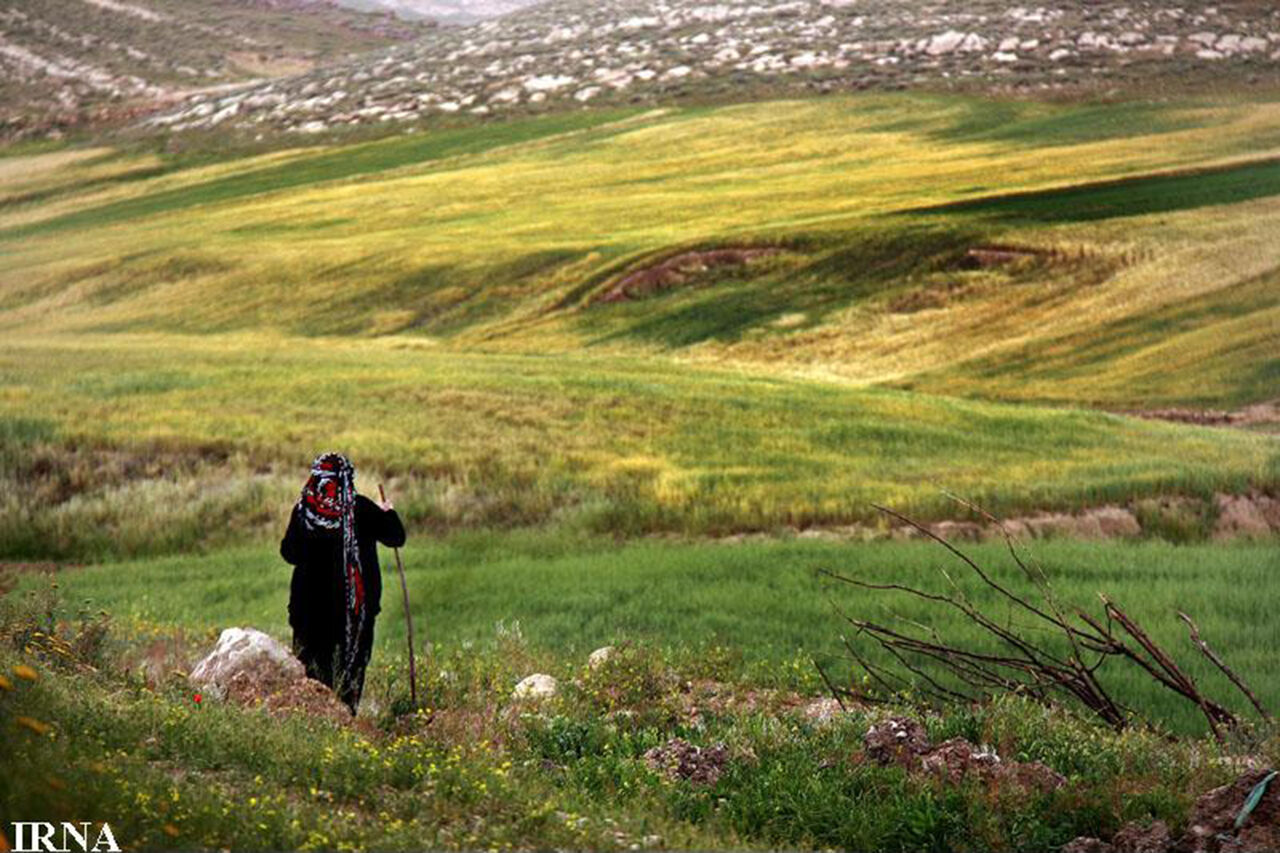 استفاده از تجربیات صاحب‌نظران در پیشبرد اهداف منابع‌طبیعی