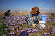 ۴۳۱ نفر از بیمه شدگان روستایی خراسان‌شمالی پارسال مستمربگیر شدند