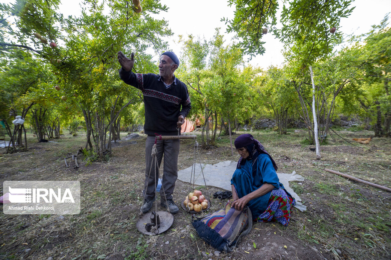 بیش از۶هزار روستایی فاروج برخوردار شدند