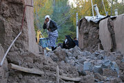 ۶۰۱ هزار تن سیمان اهدایی بنیاد برای مناطق زلزله زده 