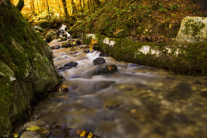 پیگیری برای بستن ۱۵۵ حلقه چاه آب غیرمجاز در گالیکش ادامه دارد
