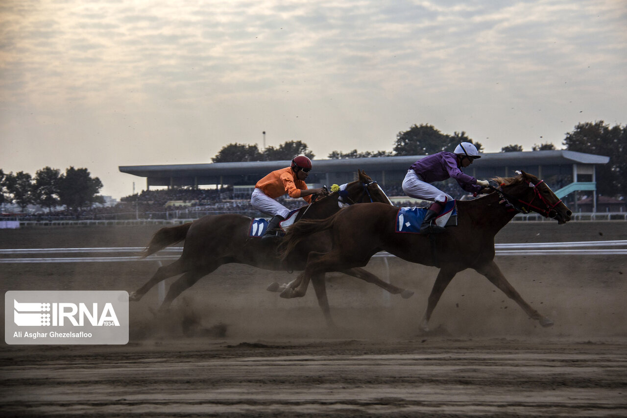 اجاره یکساله باعث ویرانی مجموعههای سوارکاری کشور شده است