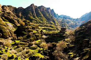 مخمل کوه لرستان