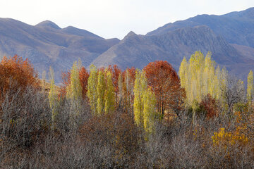 طبیعت پاییزی مهنان