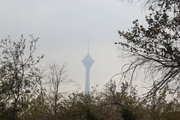 هوای تهران برای گروه‌های حساس ناسالم ماند