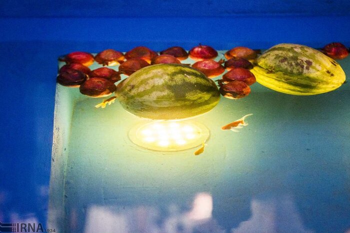 مهربانی به بلندای طولانی ترین شب سال ؛ یلدا برای همه