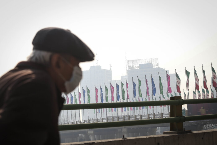 خوراکیهای مفید هنگام آلودگی هوا کدامند؟