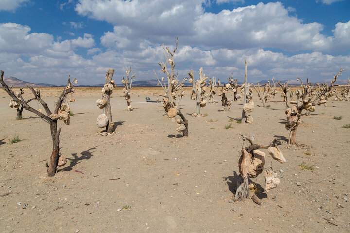 کرمان، جواهری نشسته بر نگین کویر