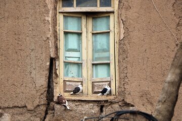 بازسازی ۲۶۵ خانه روستایی زلزله‌زده در خواف