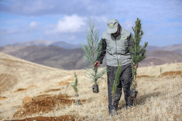 افزون بر هزار تفاهم‌نامه برای کاشت یک میلیارد درخت امضا شد
