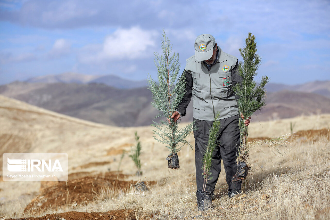 ۵۳ تشکل تخصصی منابع طبیعی در کردستان فعال است