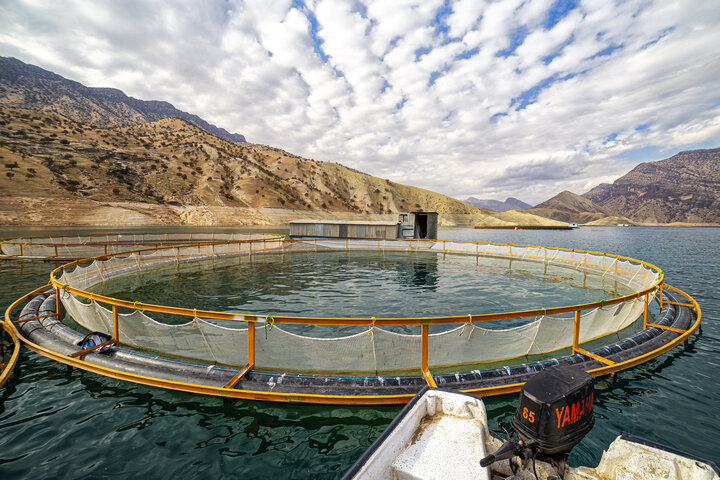 نهالی که دولت سیزدهم برای حمایت از کشاورزی چهارمحال و بختیاری کاشت