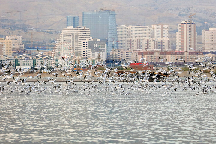 گردشگری، بستری جدید برای درآمدزایی در روستاهای تهران