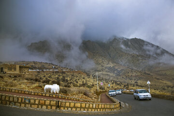 جلوه های ابر و مه در پارک کوهستانی دراک شیراز