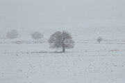 برف آسمان برخی نقاط کردستان را فرا می‌گیرد