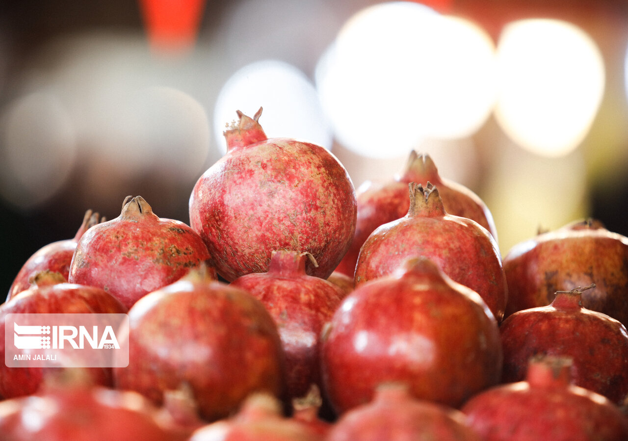 میزبانی «انار اوتورماغ» در پایتخت از آذریها میزبانی «انار اوتورماغ» در پایتخت از آذریها