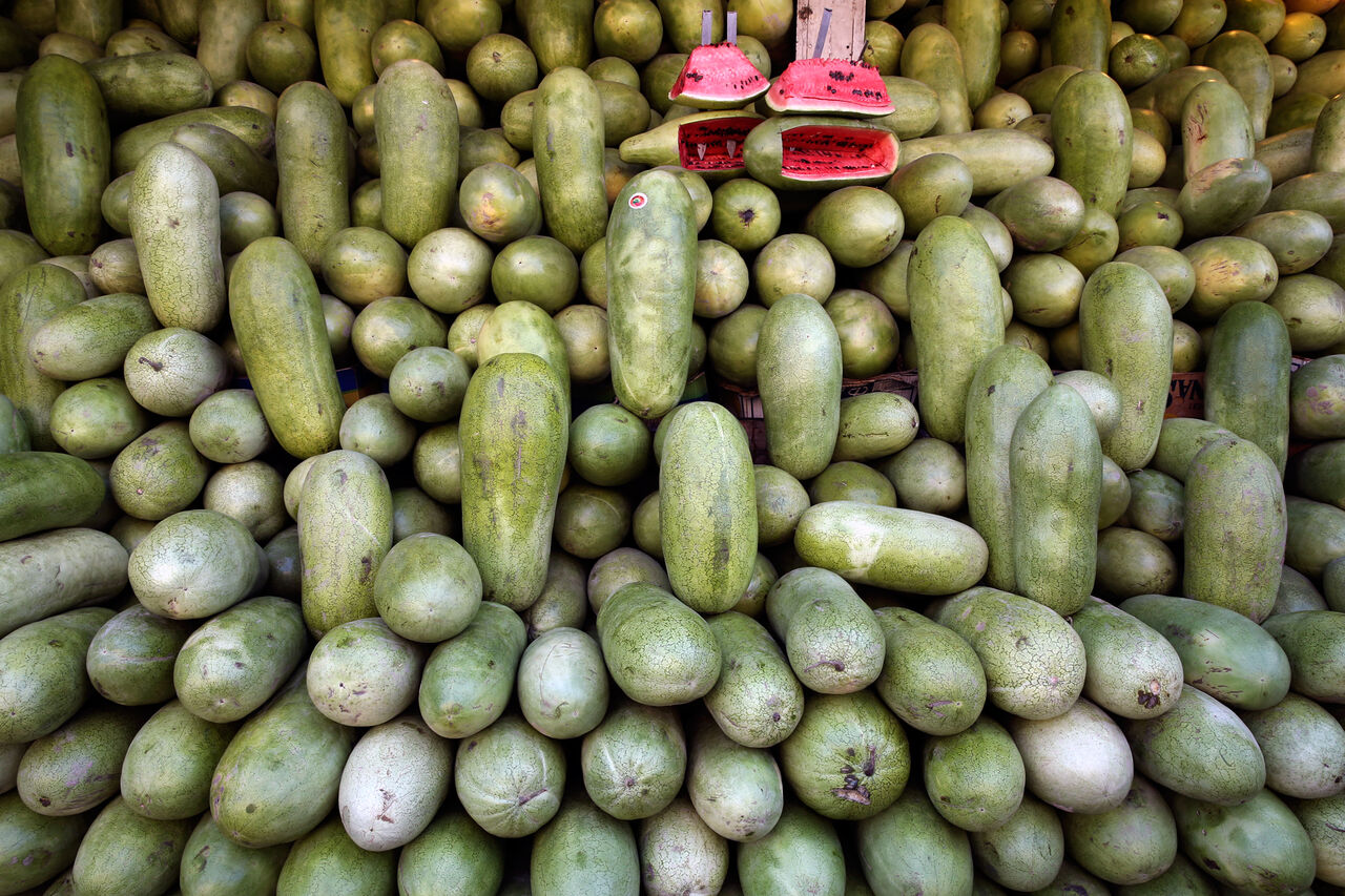 ۴۰ هزار تن محصول کشاورزی در باشت برداشت شد ۴۰ هزار تن محصول کشاورزی در باشت برداشت شد