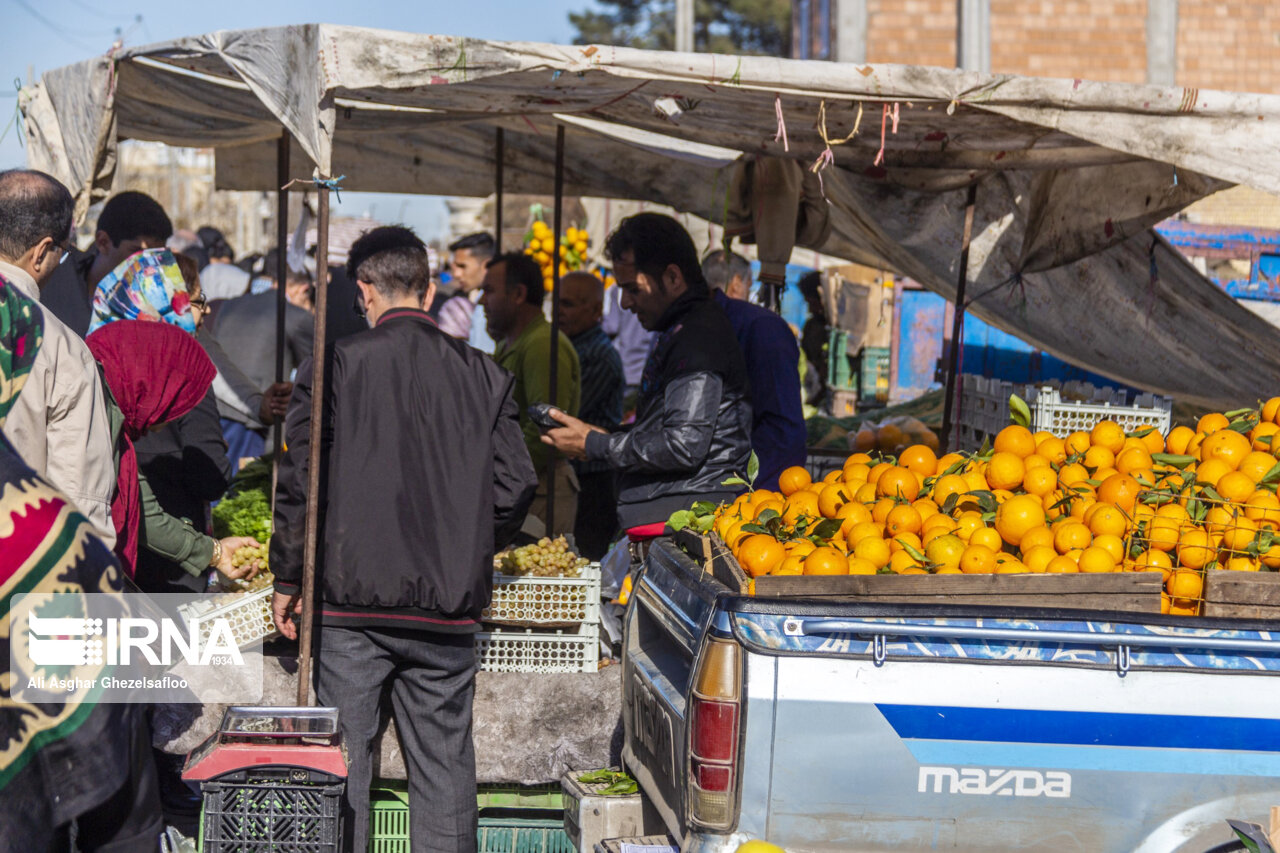 وعده‌ها و تعجیل باغداران؛ چاشنی تلخ نوبرانه‌های مازندران