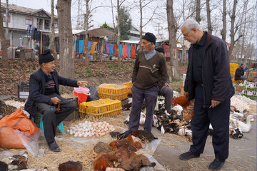 گذری بر روز بازار صومعه سرا؛ از شیر مرغ تا جان آدمیزاد