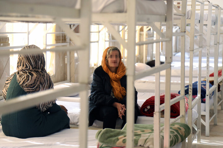 فقط من مقصر نبودم