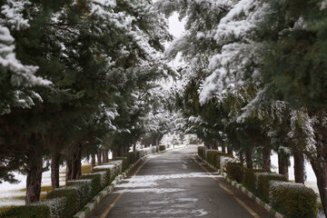 بارش برف در ارومیه‎