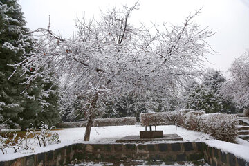 بارش برف در ارومیه‎