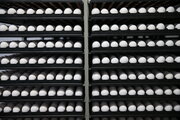 کشف ۳ تن و ۷۲۰ کیلوگرم تخم مرغ فاقد مجوز در سربیشه
